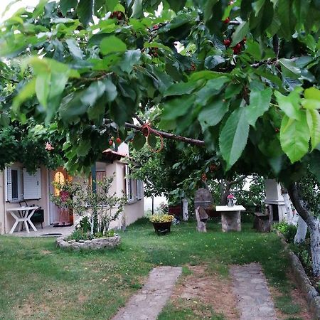 Meteora'S Sunset Apartment Kalampáka Ngoại thất bức ảnh