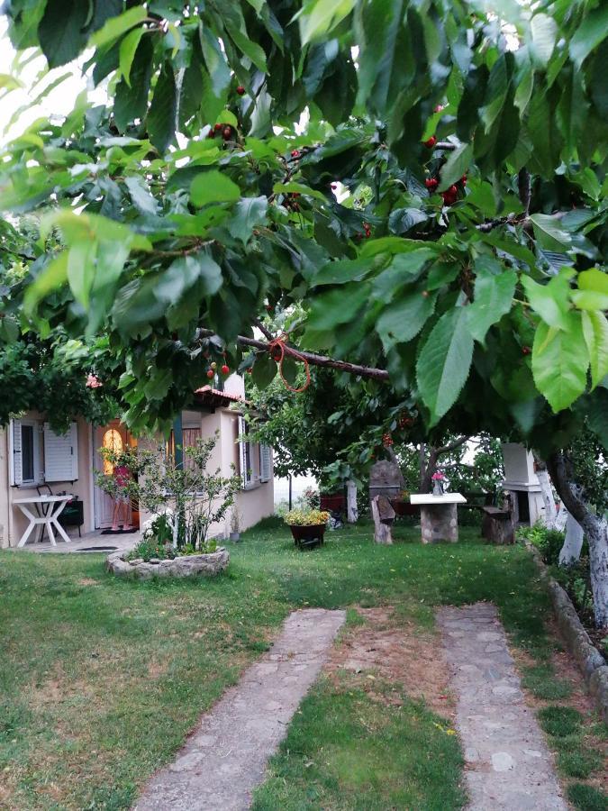 Meteora'S Sunset Apartment Kalampáka Ngoại thất bức ảnh